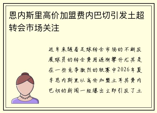 恩内斯里高价加盟费内巴切引发土超转会市场关注